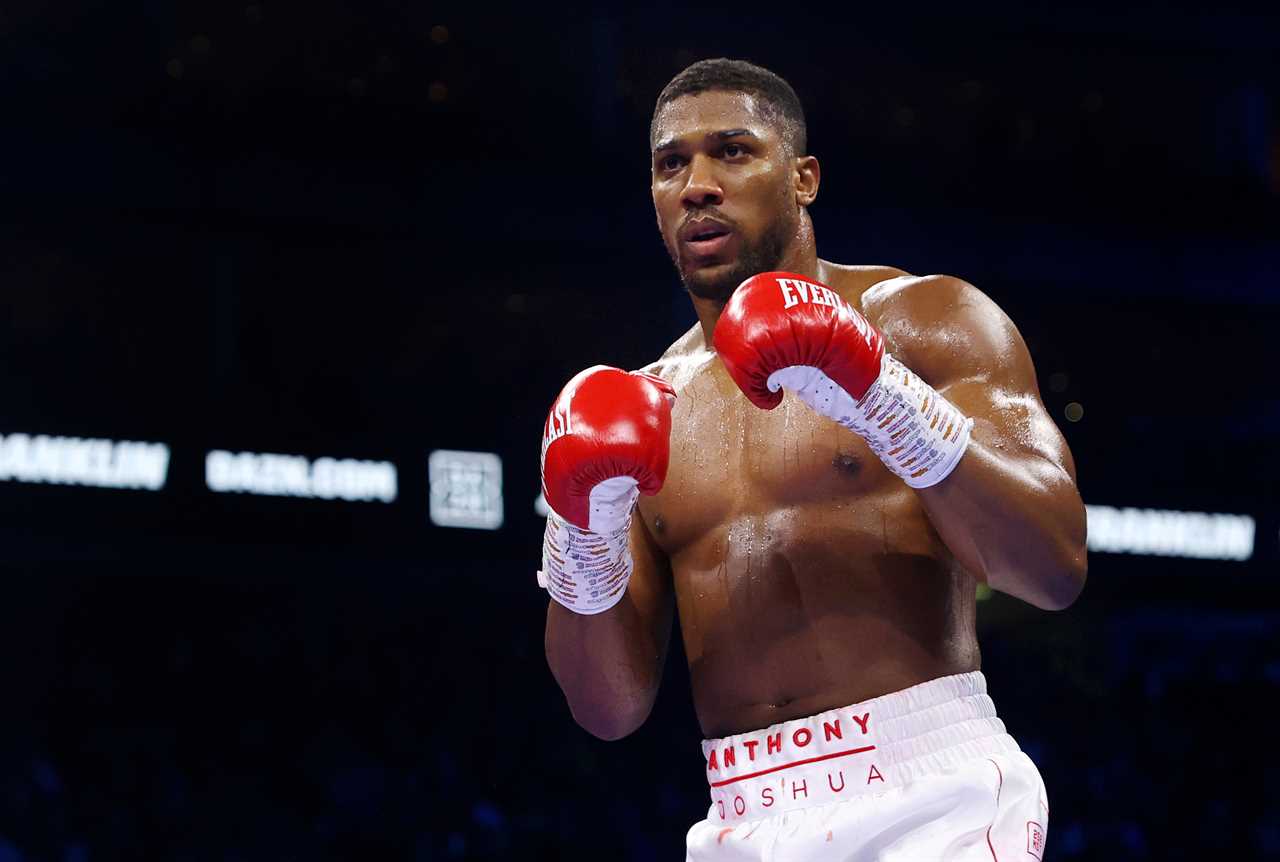 Ricky Hatton attacks the 'circus boxing' scene in heavyweights after Tyson Fury's and Anthony Joshua's updates