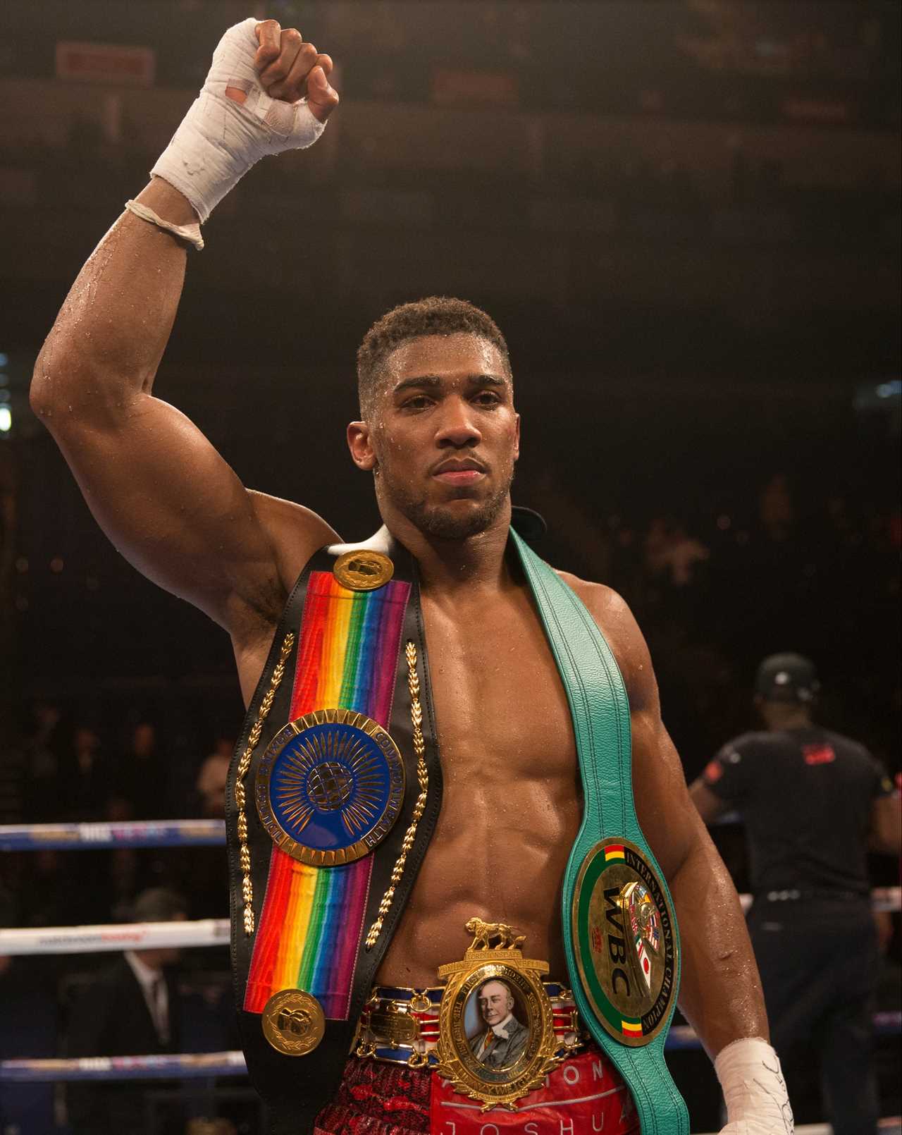 Anthony Joshua and Dillian Whyte are set to fight in a trilogy after beginning their rivalry as amateurs