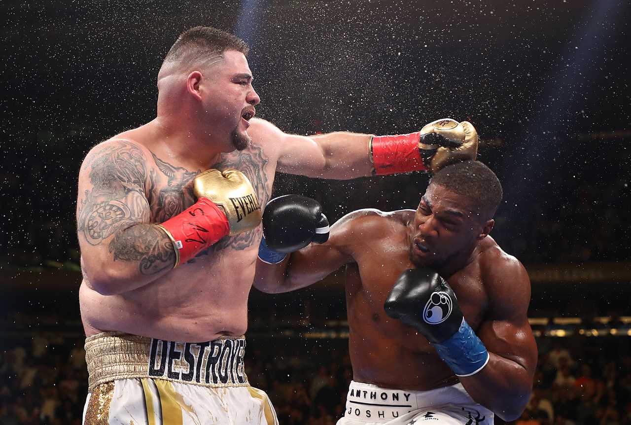 Former champion warns Anthony Joshua that he can't take a shot anymore as Dillian Howte and Deontay wilder fights nearby