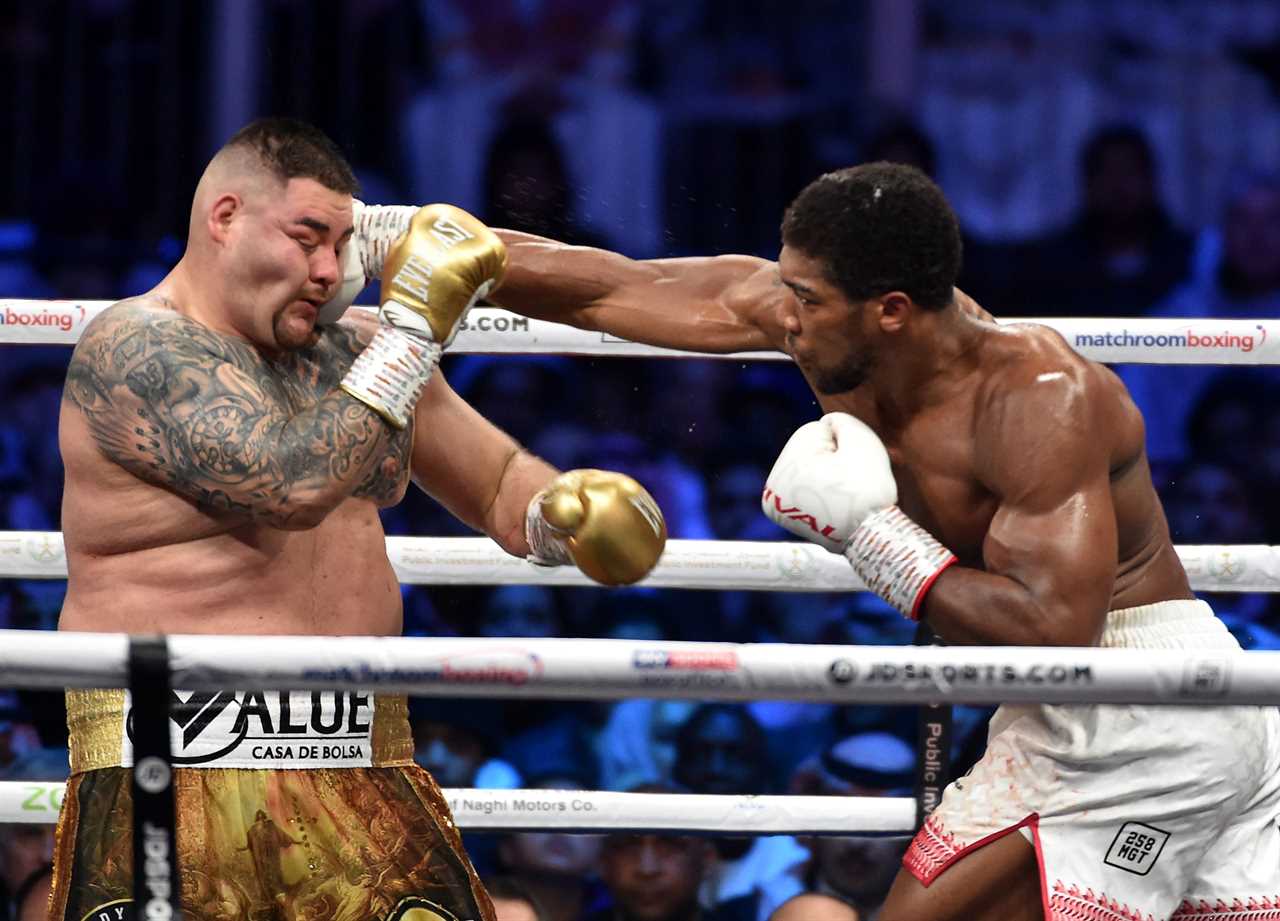 Former champion warns Anthony Joshua that he can't take a shot anymore as Dillian Howte and Deontay wilder fights nearby