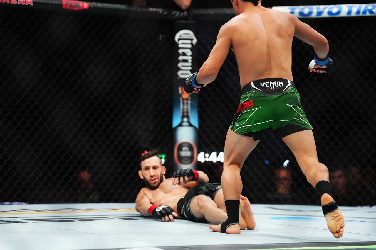 Watch UFC 290's star score a 'SCARY and sensational' one-punch KO that leaves Joe Rogan completely stunned