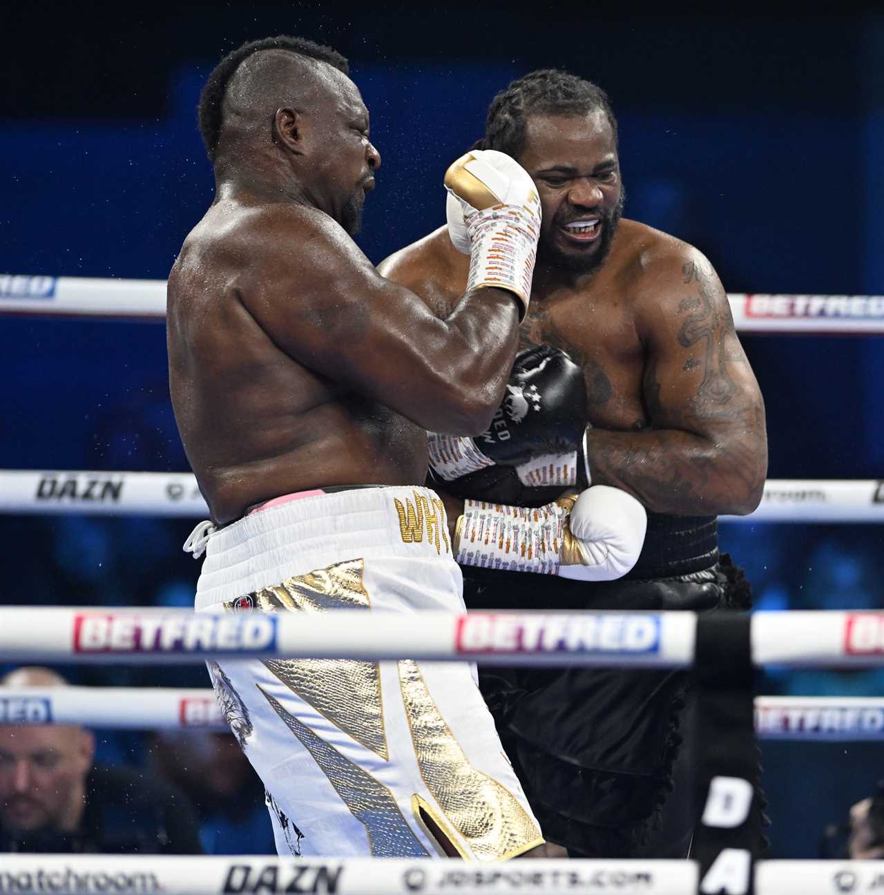 I've fought Anthony Joshua and Dillian Howte. I don't believe it will be difficult to predict.