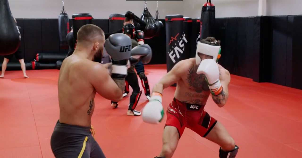 Conor McGregor executes a brutal body kick on a sparring partner as his Ultimate Fighter team suffers another loss