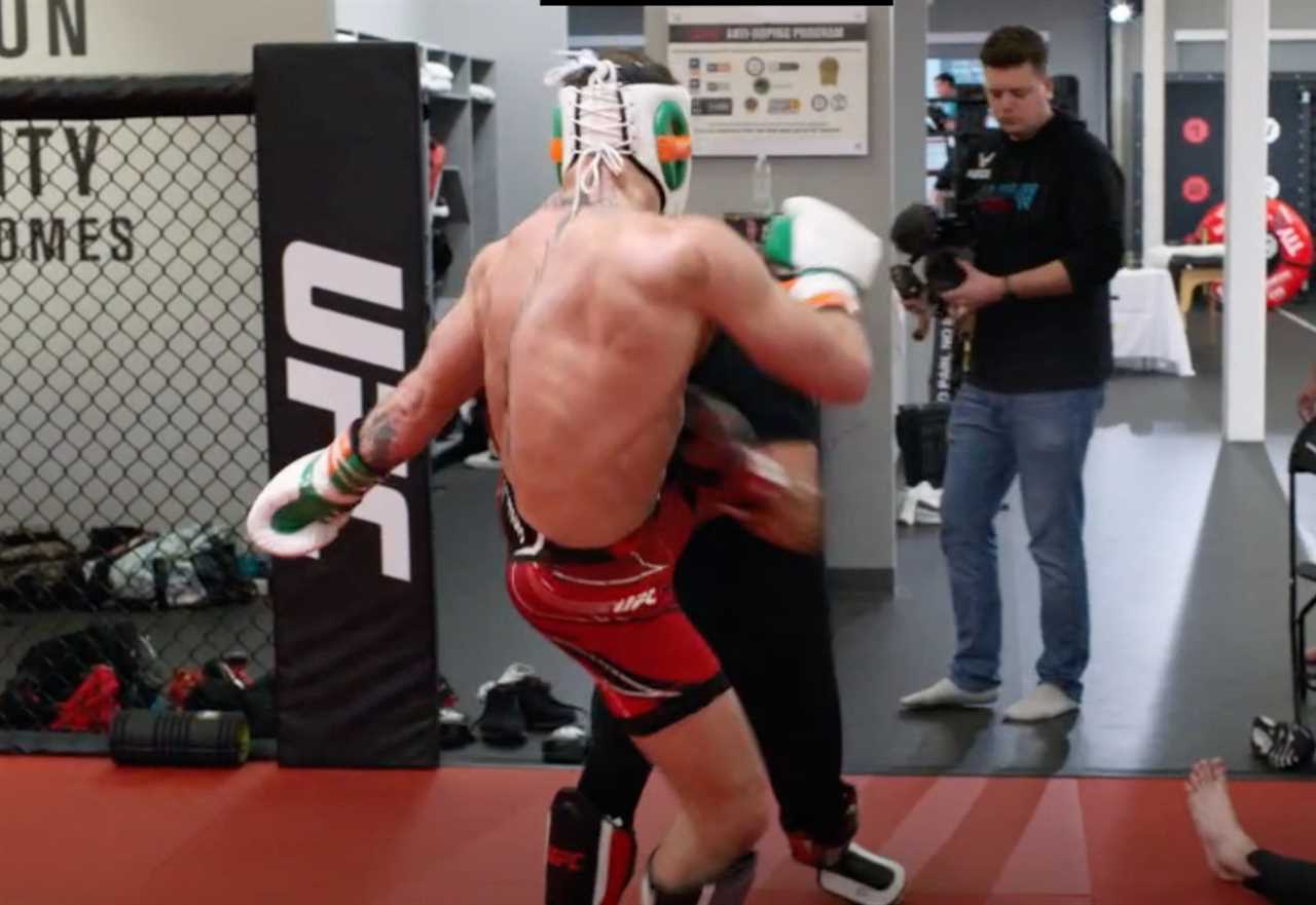 Conor McGregor executes a brutal body kick on a sparring partner as his Ultimate Fighter team suffers another loss