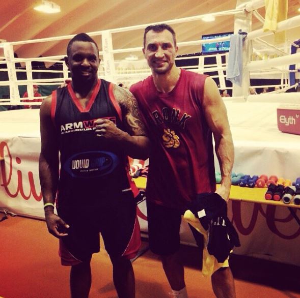 Dillian Whyte Claims Deontay Wilder was Knocked Out Cold by Wladimir Klitschko