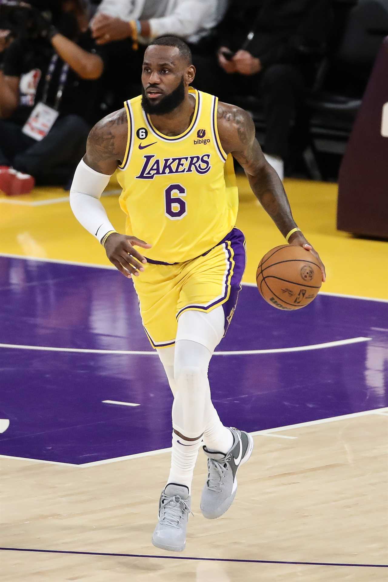 UFC legend Joe Rogan believes NBA Superstar could dominate in MMA