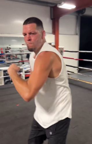 Fans predict a brutal fight between Jake Paul and Nate Diaz as fans watch Nate Diaz smoke in training.
