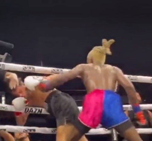 Boxing fans outraged when cameraman strikes fighter during Misfits show