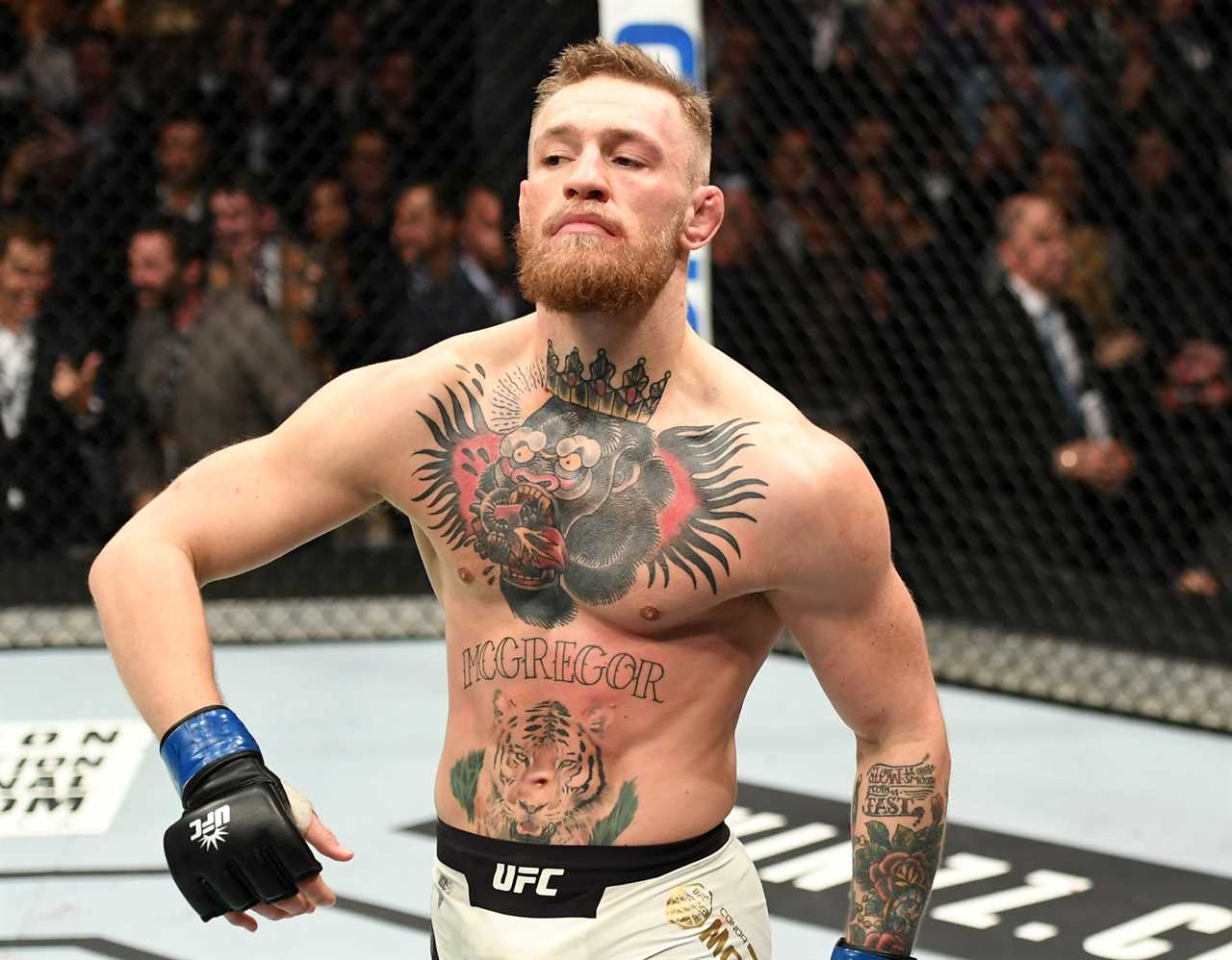 UFC legend Conor McGregor pays emotional tribute to Sinead after her shocking death