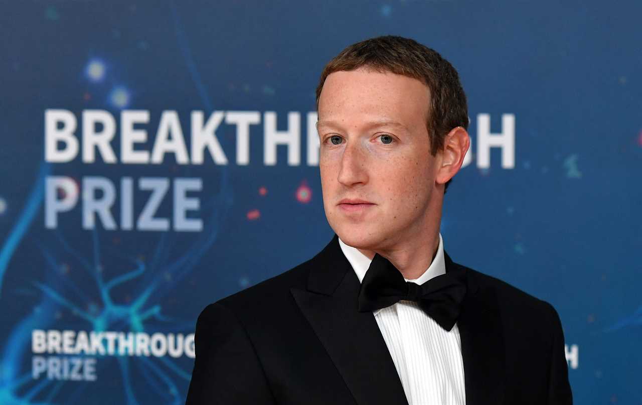 Mark Zuckerberg calls off 'Cage Fight with Elon Musk' - says he isn't serious