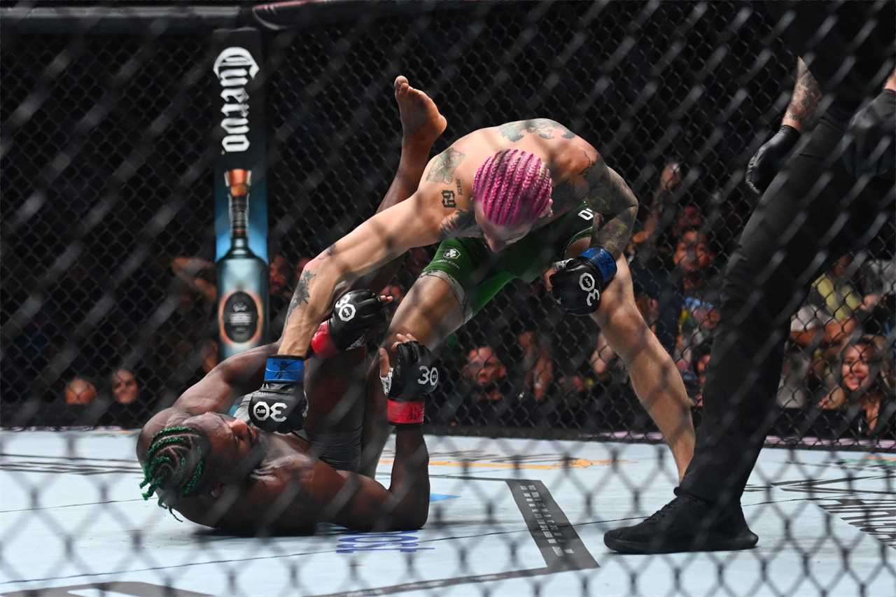 Sean O'Malley wins Bantamweight Title at UFC 292 with a Stunning KO