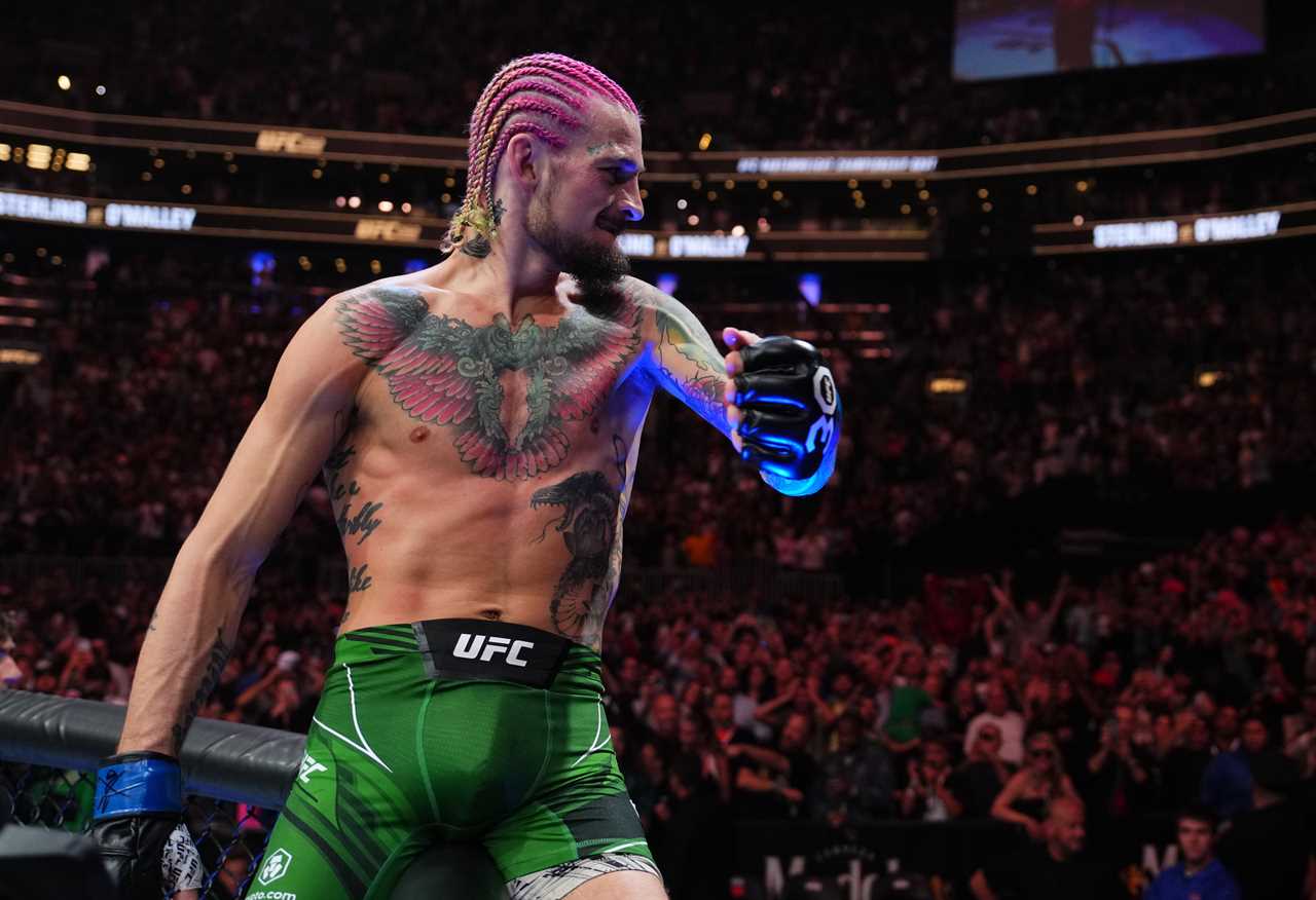 Sean O'Malley wins Bantamweight Title at UFC 292 with a Stunning KO