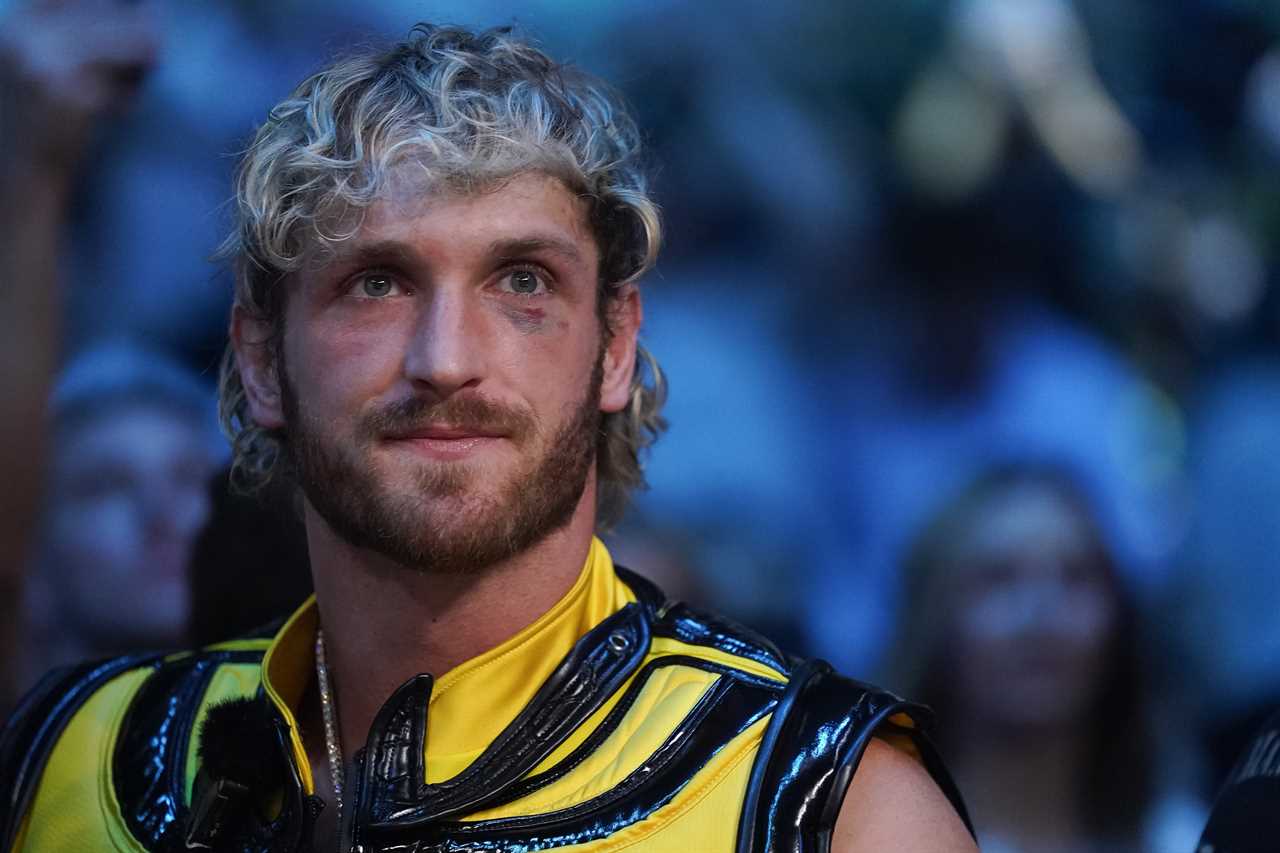 Logan Paul's fiancée Nina Agdal wins legal battle against Dillon Danis after she gets a restraining order following X-rated posts