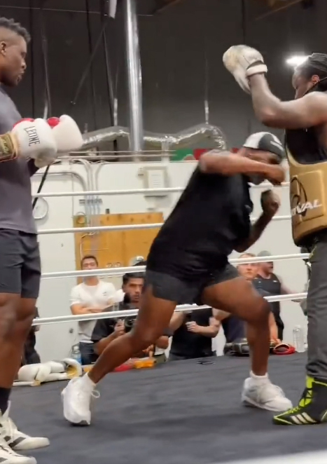Mike Tyson trains Francis Ngannou to fight Tyson Fury after Gypsy King's brash response