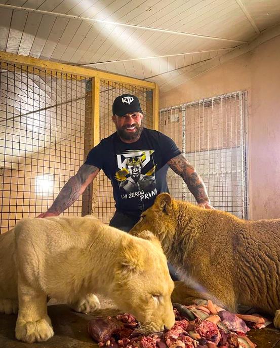 Karlos Vemola, MMA star, lives with his family with crocodiles and even sharks.