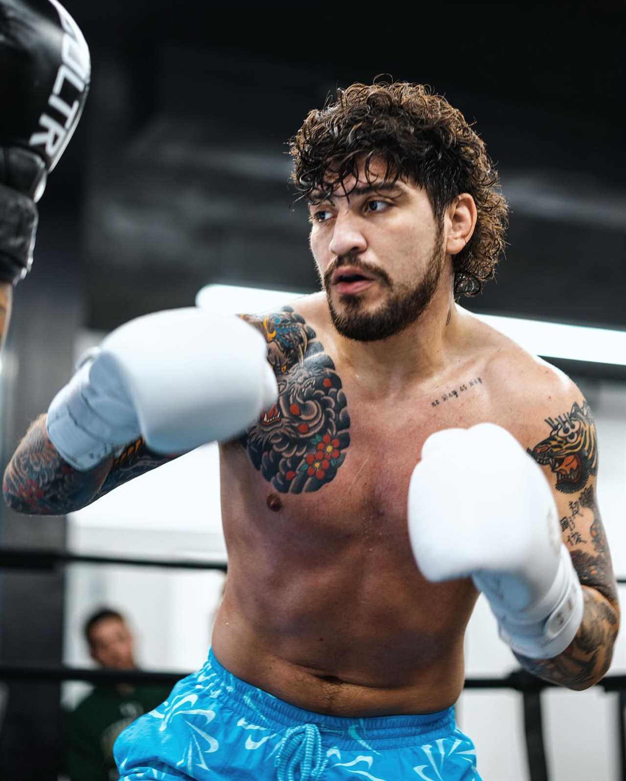 Dillon Danis refuses to confirm participation in fight with Logan Paul