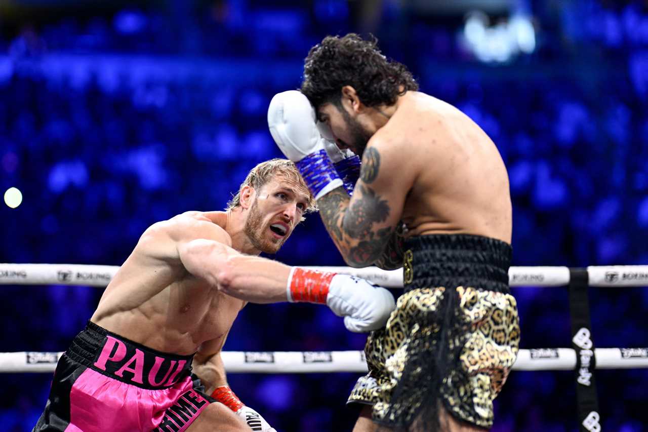 Dillon Danis Claims Success in Grudge Match against Logan Paul Despite Being Disqualified