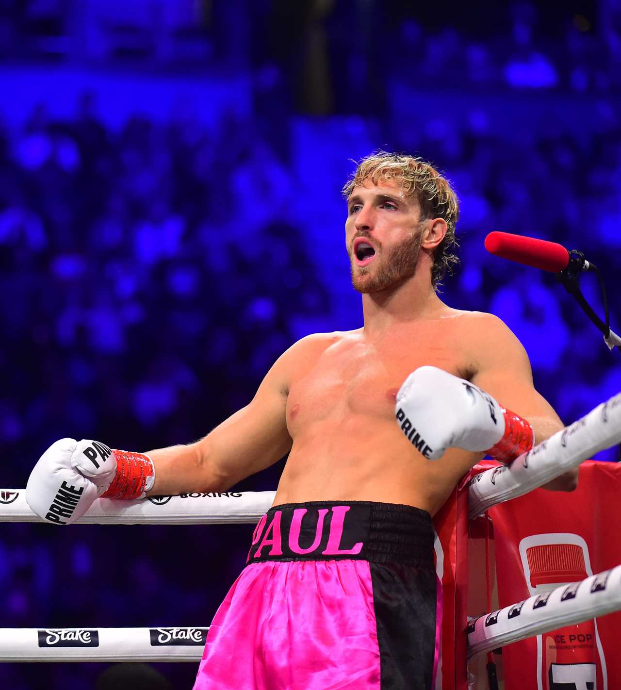 Logan Paul challenges Conor McGregor after brawl with Dillon Danis