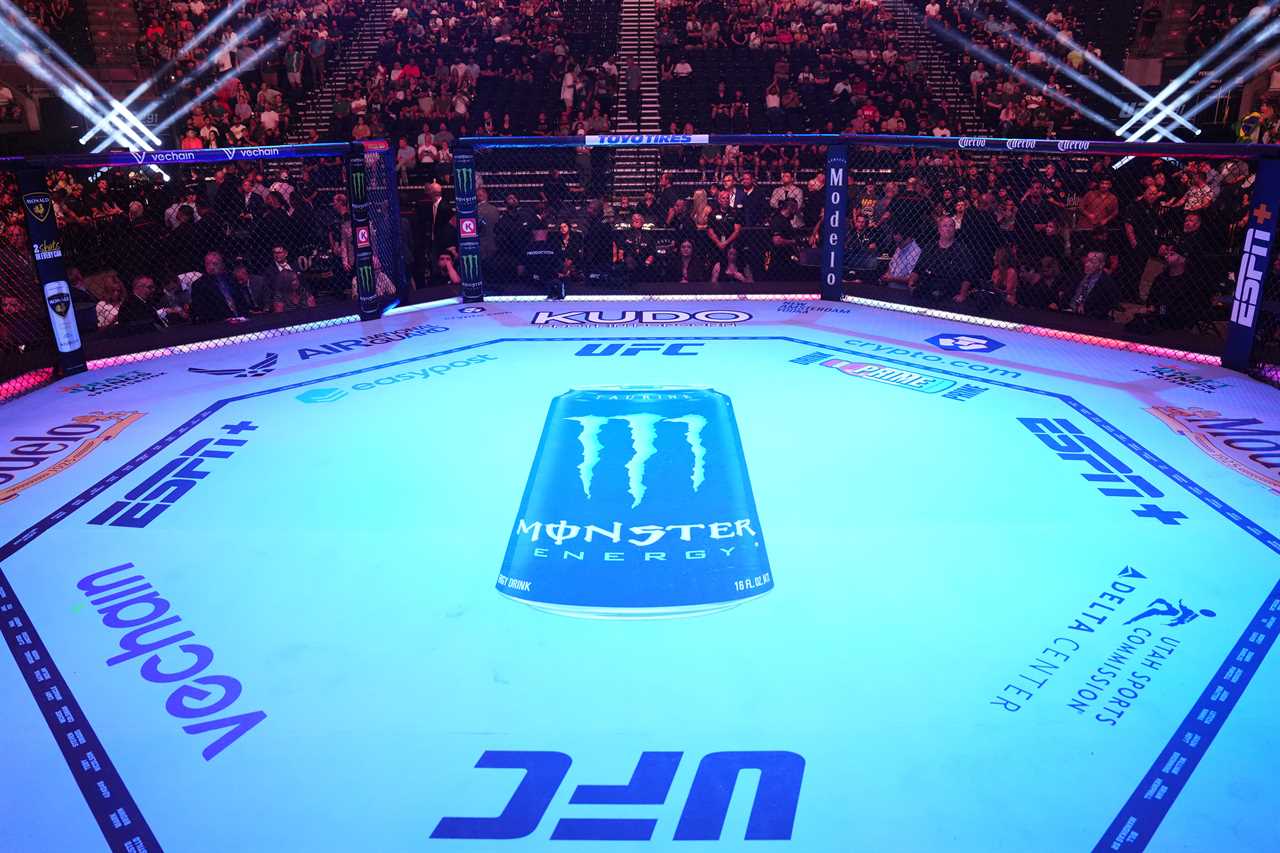 Conor McGregor, Ronda Roussey and their return to UFC 300 could make for a spectacular fight card.
