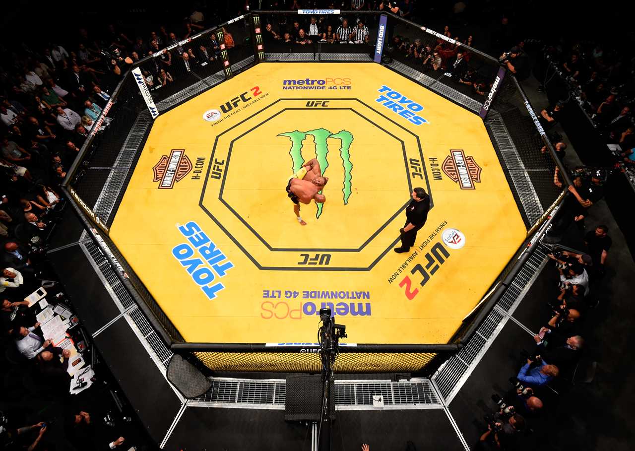 Conor McGregor, Ronda Roussey and their return to UFC 300 could make for a spectacular fight card.