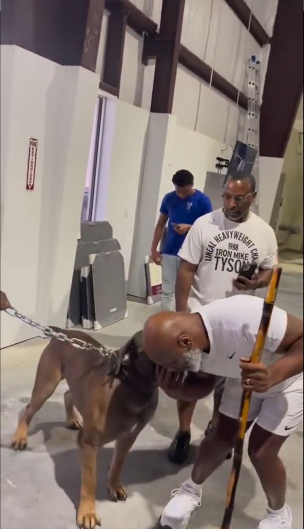 Mike Tyson gets up close and personal with Giant Dogs in Viral Video