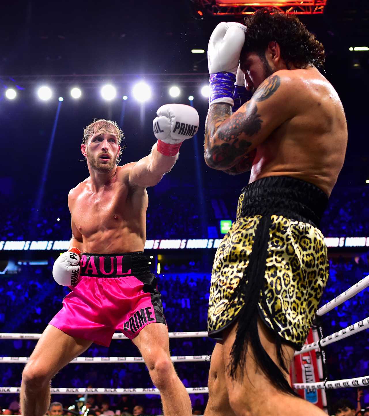 Logan Paul Admits Regret for Fighting Dillon Danis As Rivalry Escalates