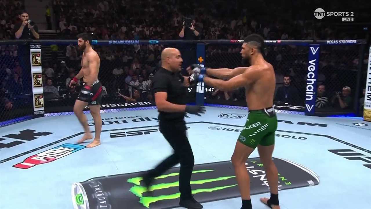 UFC star slaps ref in controversial fight stoppage