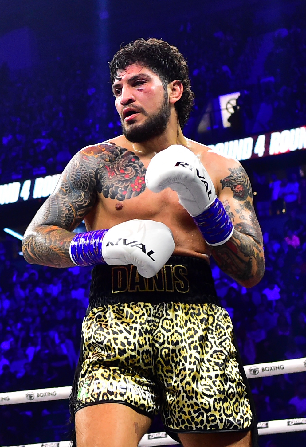 Dillon Danis released from Bellator contract following loss to Logan Paul
