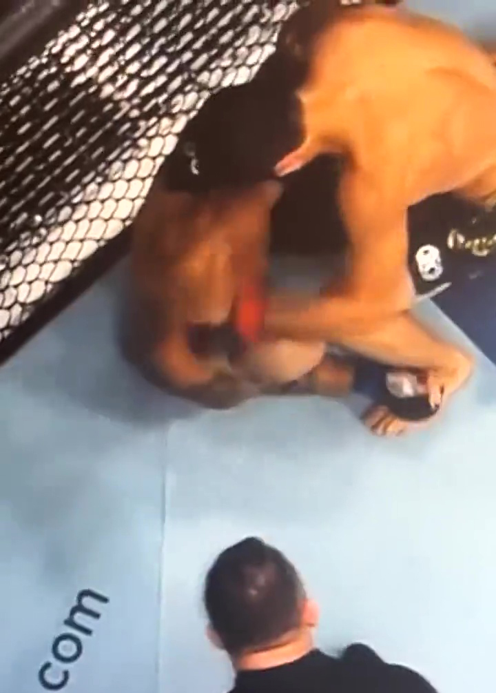 Conor McGregor says Islam Makhachev got off with illegal strikes during UFC 294 victory over Volkanovski