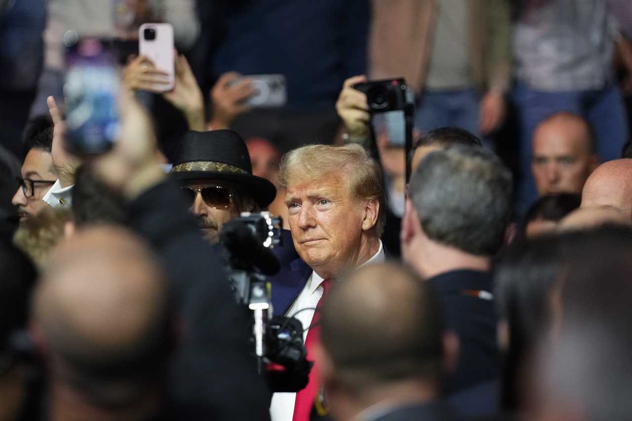 Donald Trump Receives Thunderous Cheers at UFC 295