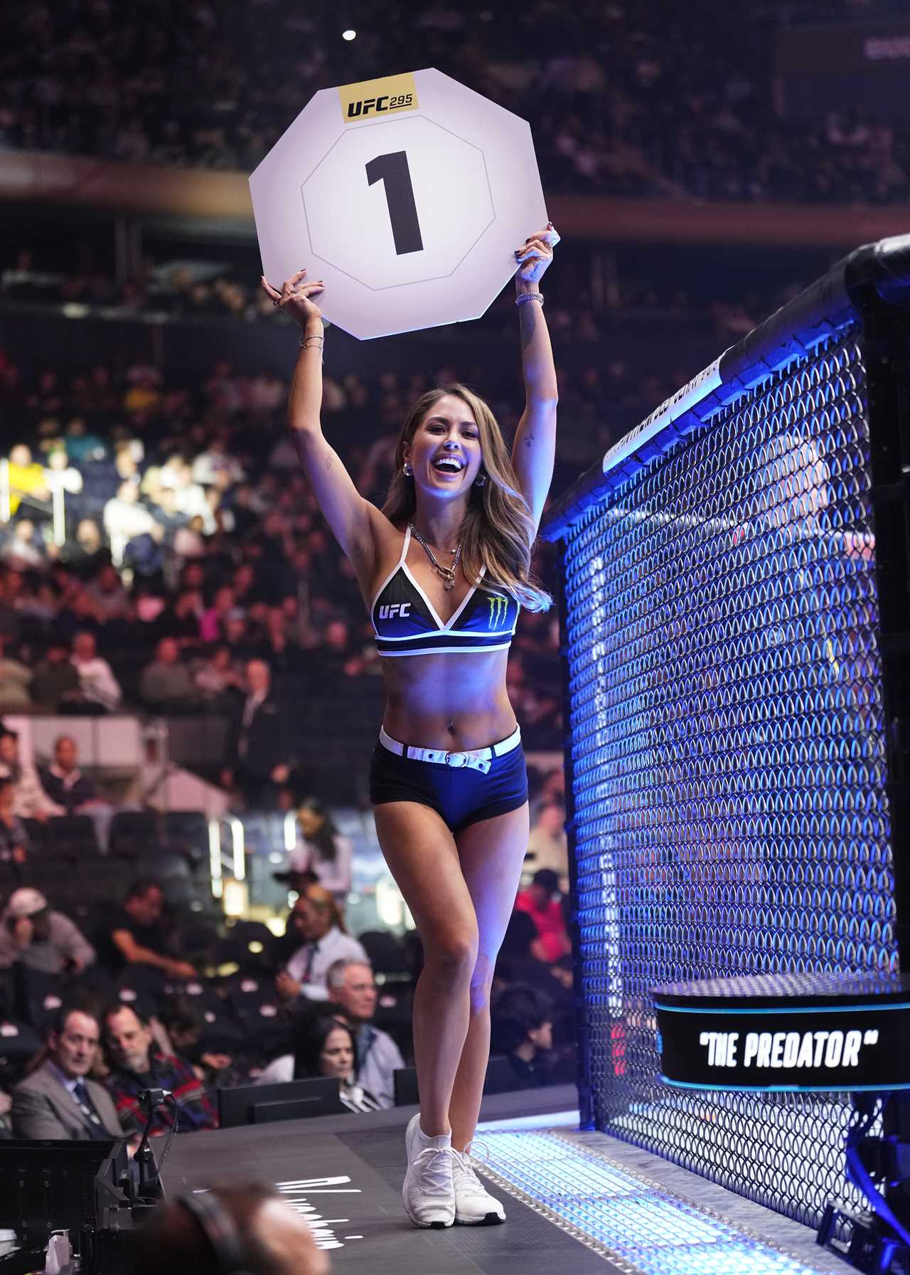 UFC Ring Girl Brittney Palmer Stuns Fans in Black Underwear
