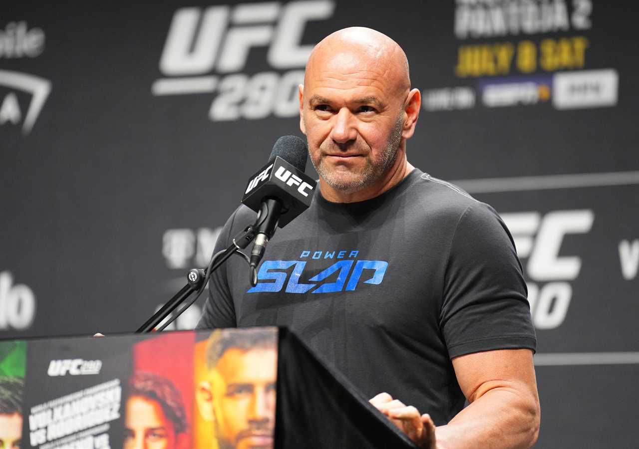 Dana White Teases MMA Fans with 'Super Fight' Excluding McGregor