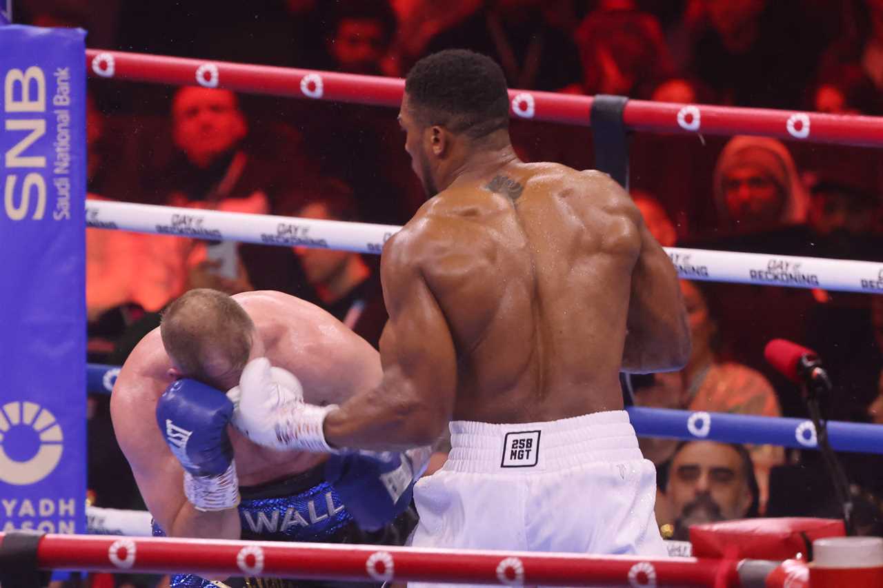 Medics treat Otto Wallin for suspected broken nose after brutal Anthony Joshua defeat