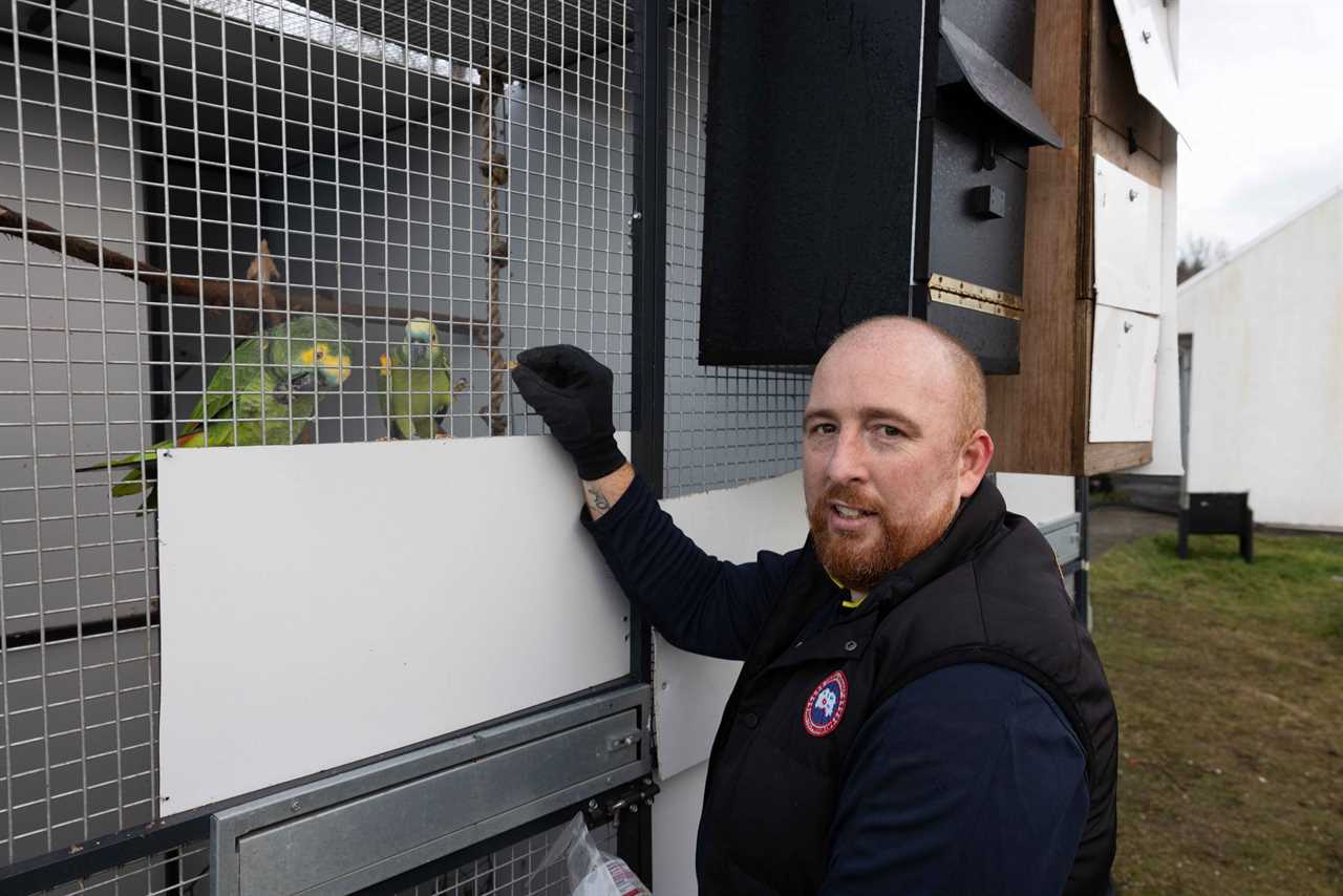 Conor McGregor Blamed for Death of Parrot Due to Noisy Building Project
