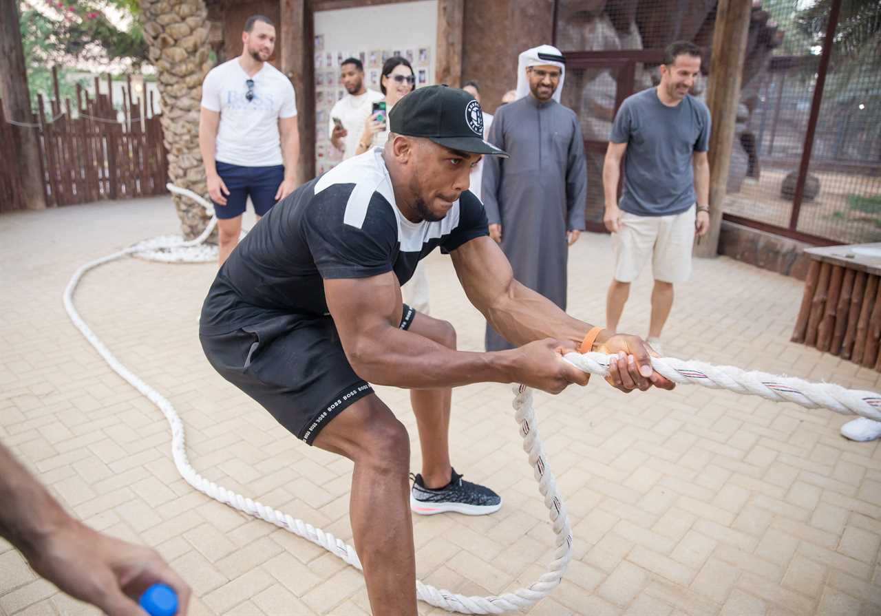 Anthony Joshua loses bizarre tug of war against a LIGER, but enjoys zoo trip with football legend