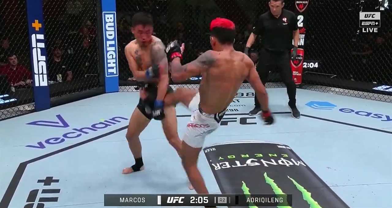 UFC star rushed to hospital with horrific testicular injury after wild fight with multiple illegal moves