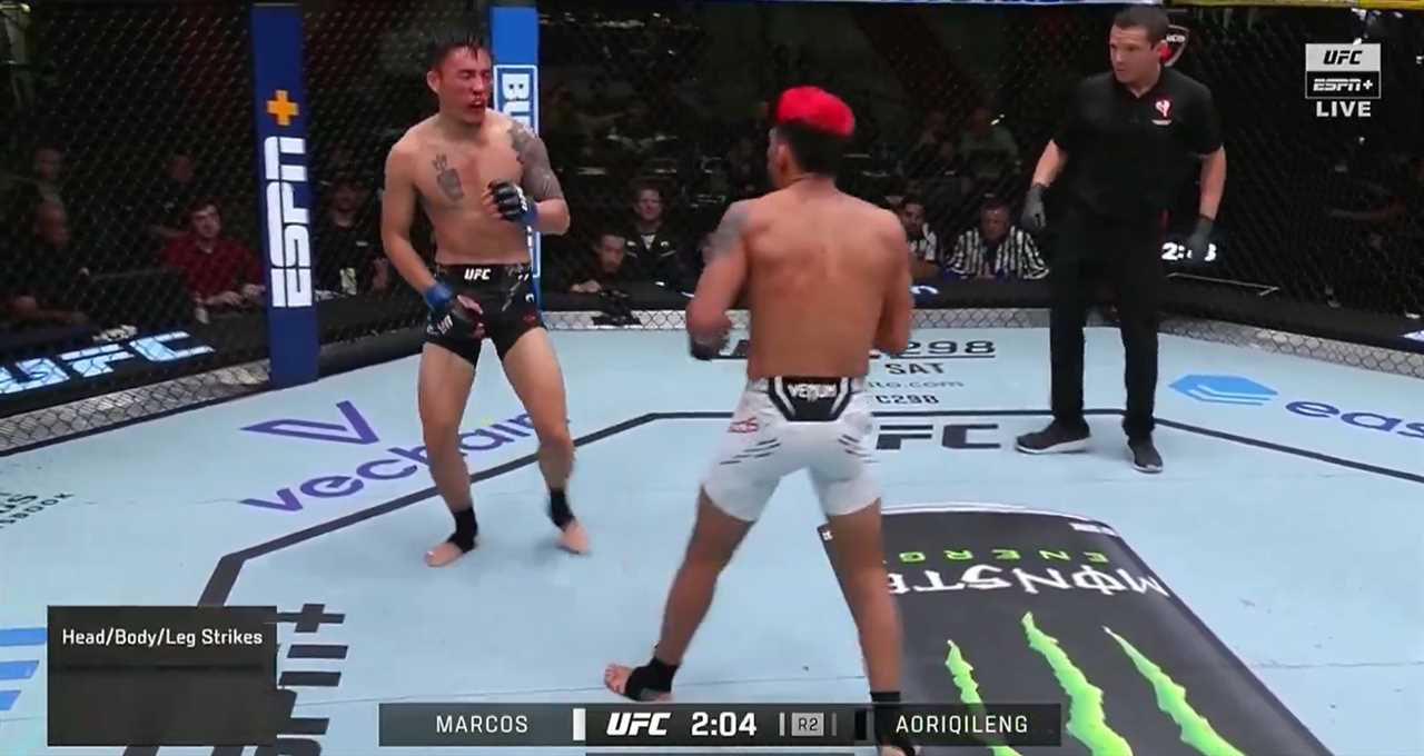 UFC star rushed to hospital with horrific testicular injury after wild fight with multiple illegal moves