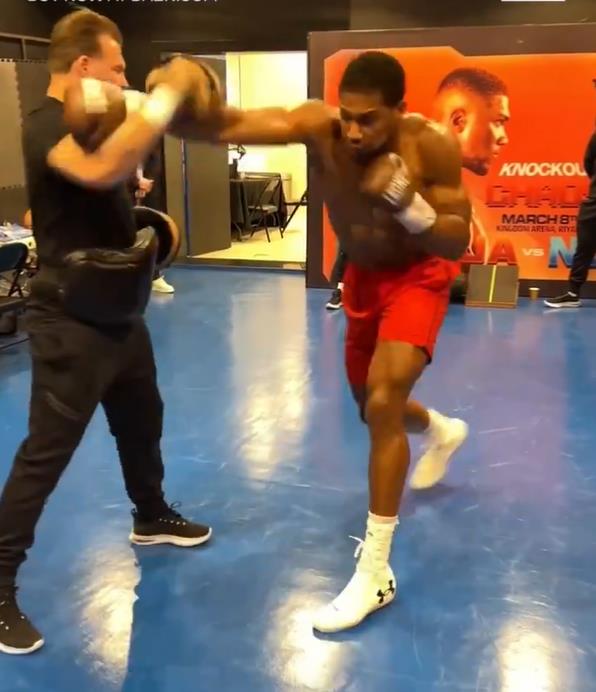 Anthony Joshua praised for pre-fight preparation