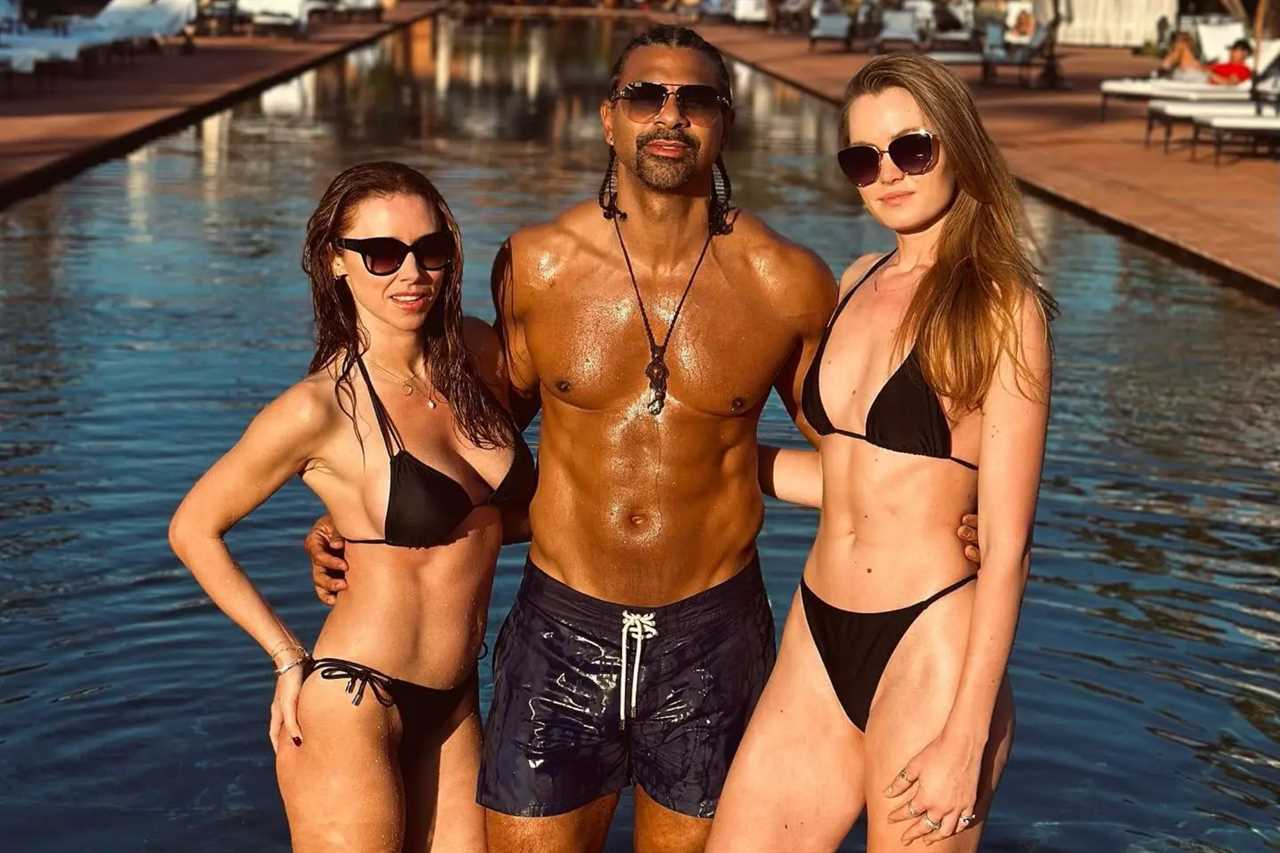 David Haye and Sian Obsborne Search for Third Partner on Dating App Raya