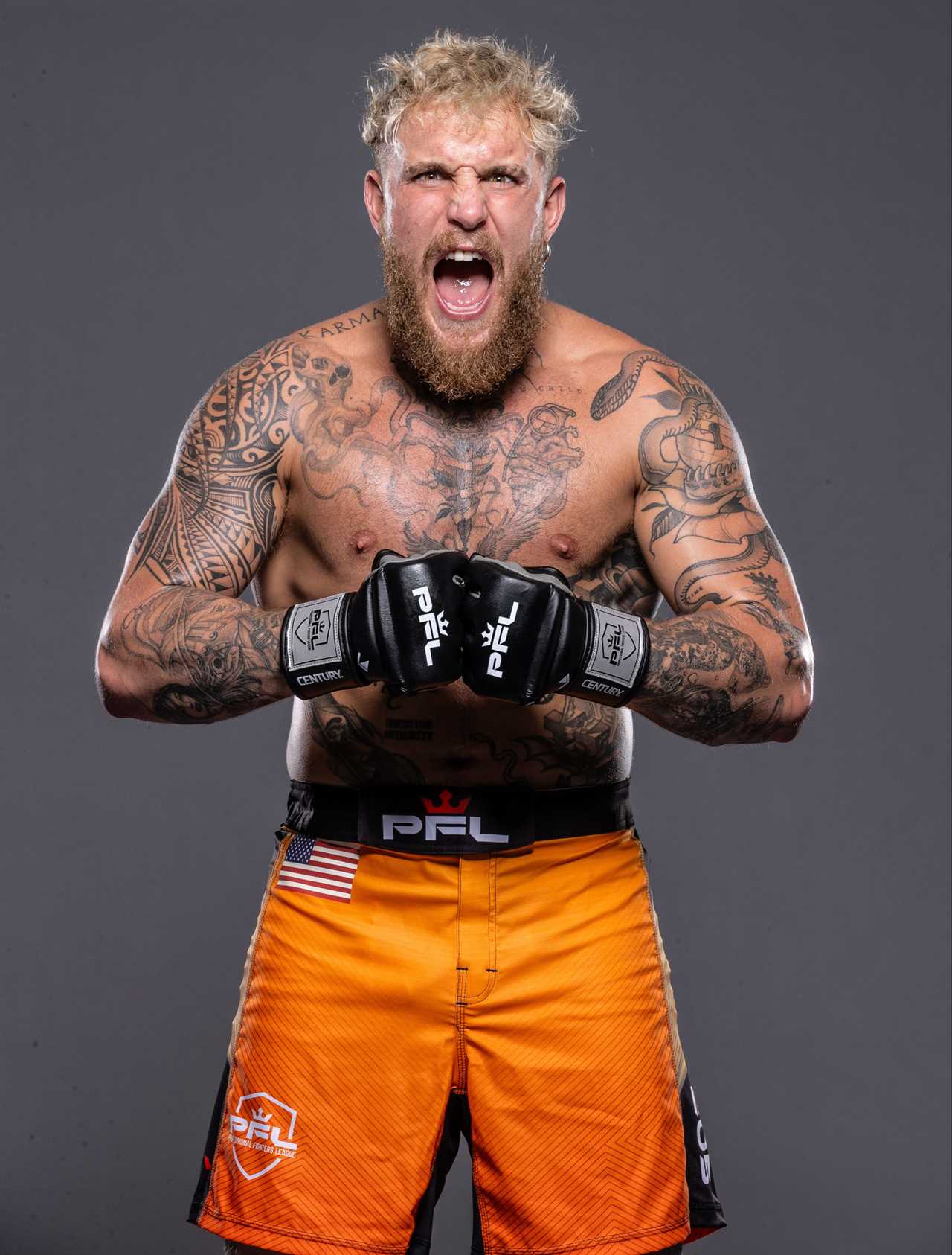Jake Paul tipped to surpass Brock Lesnar for biggest MMA debut
