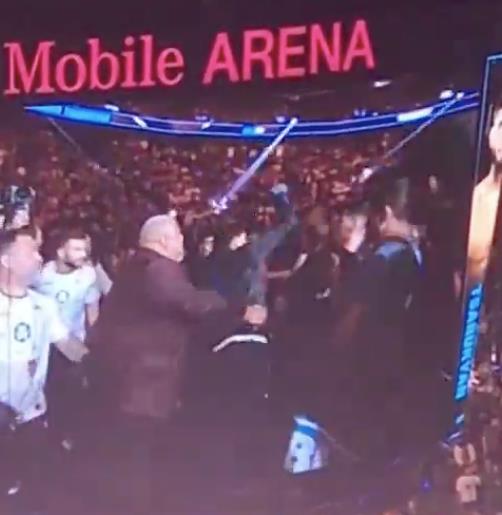 UFC Star Slapped with Nine-Month Ban for Punching Fan Before Fight