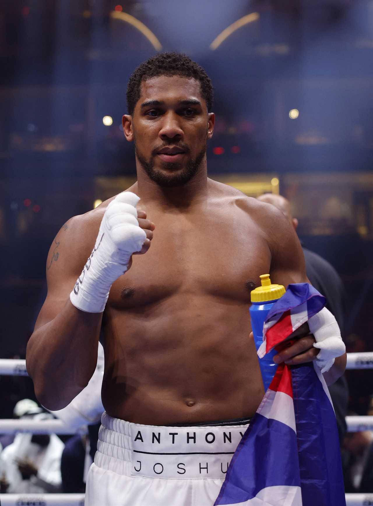 Anthony Joshua Backs UFC Champion Alex Pereira to Make Boxing Debut