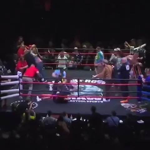 Boxer and Brother 'Arrested' After Brawl in the Ring