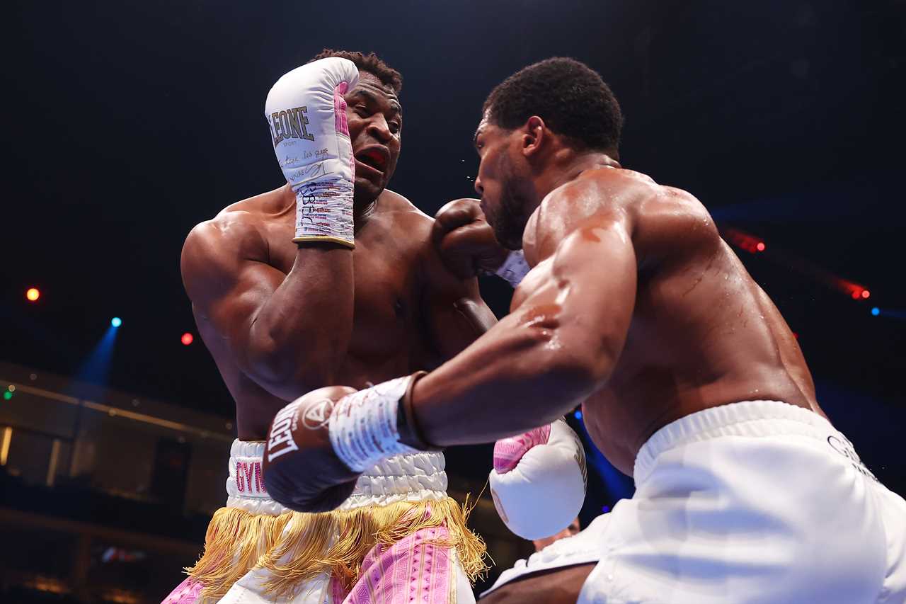 Anthony Joshua and Tyson Fury Warned Off MMA Switch by Francis Ngannou