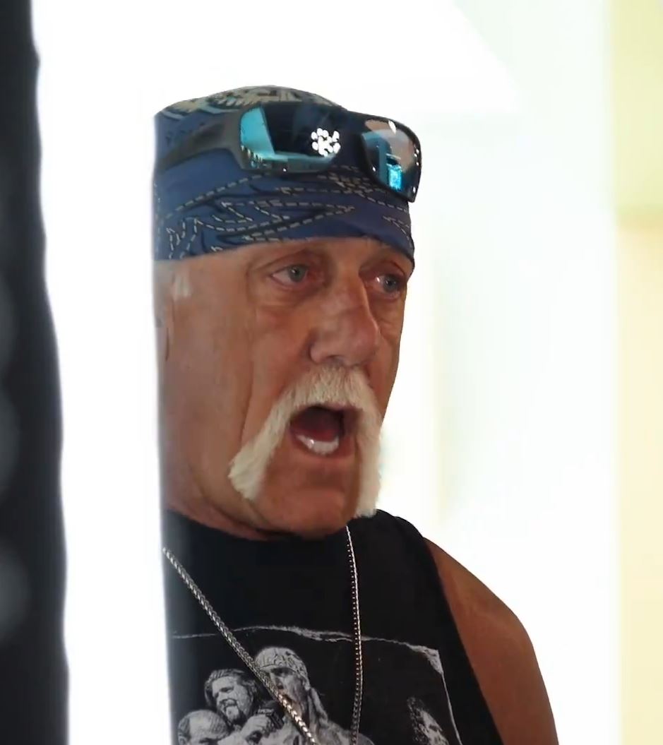 Hulk Hogan Expresses Genuine Fears for Mike Tyson in Fight Against Jake Paul