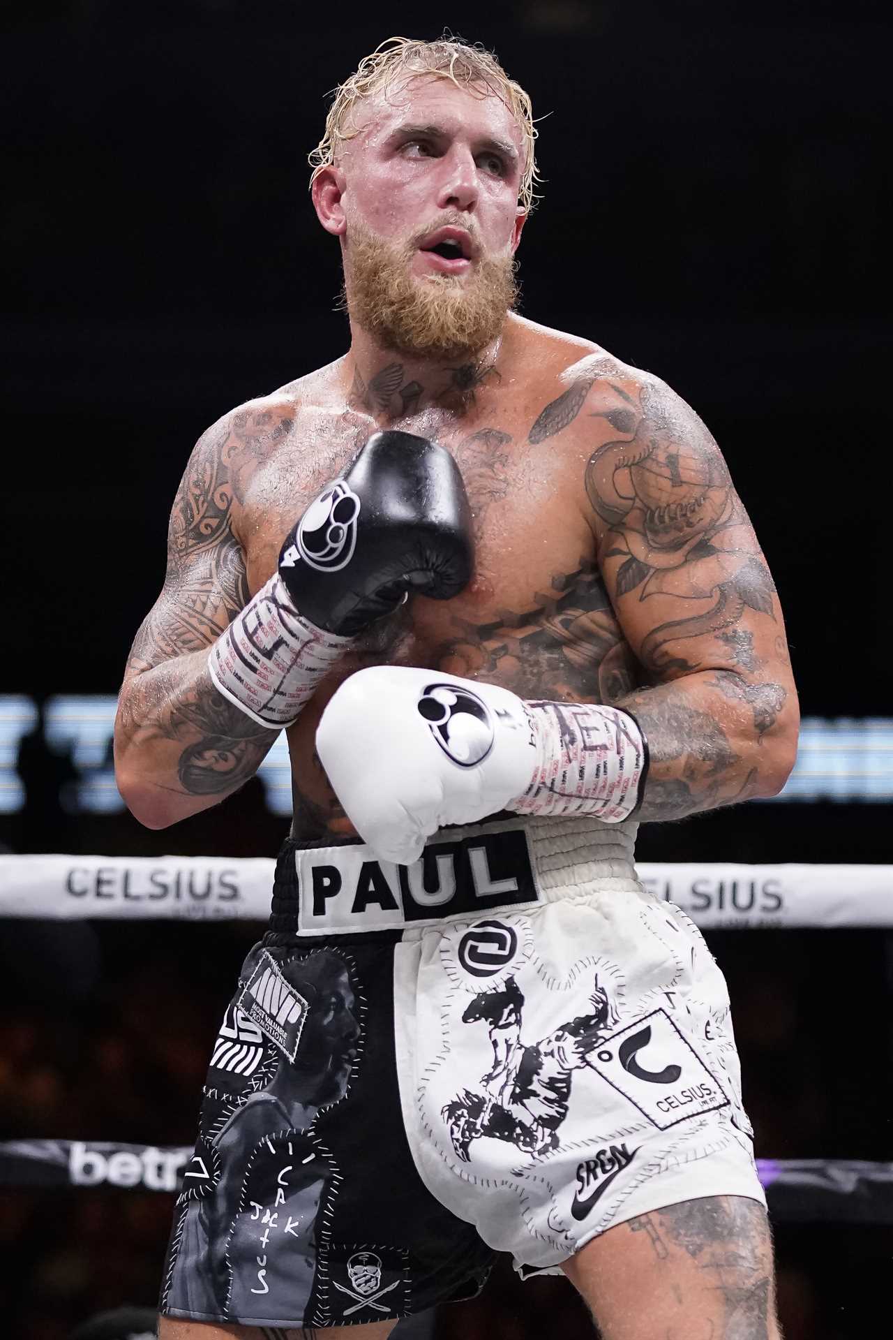 Jake Paul warned he could get ironed out by Mike Tyson, claims former world champion