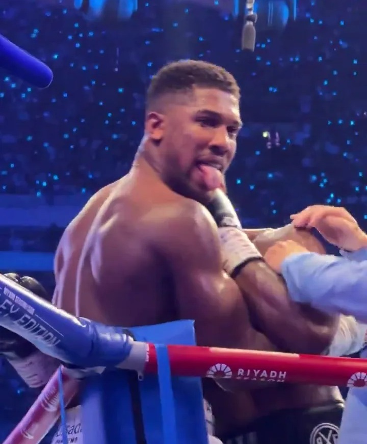 Anthony Joshua Taunts Fan Before Brutal Knockout by Daniel Dubois