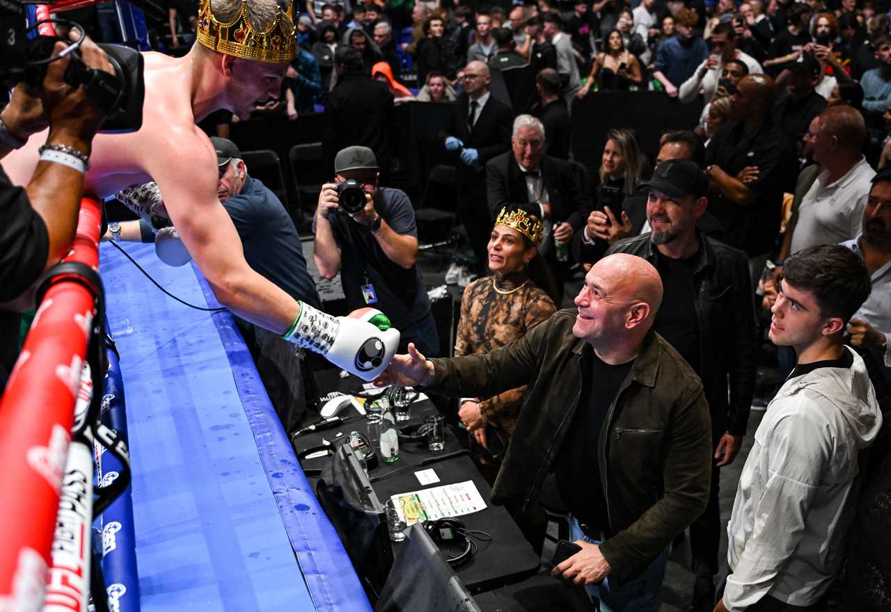 Dana White Puts the Brakes on UFC Fighters Entering Boxing Ring