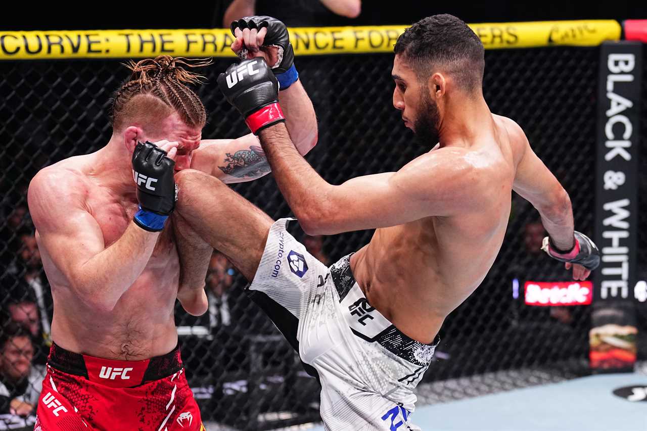 UFC Star Apologises for Punching Opponent Twice While Unconscious
