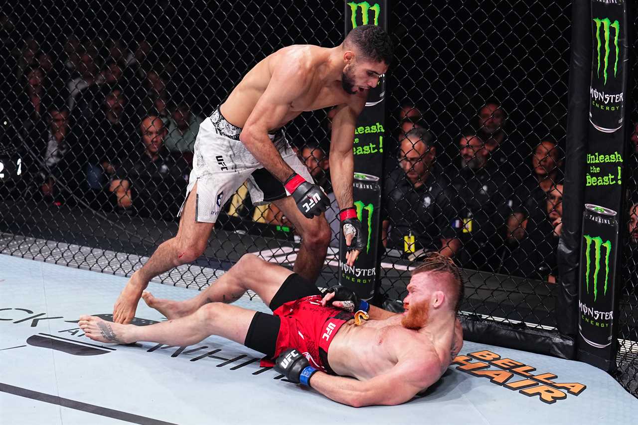 UFC Star Apologises for Punching Opponent Twice While Unconscious